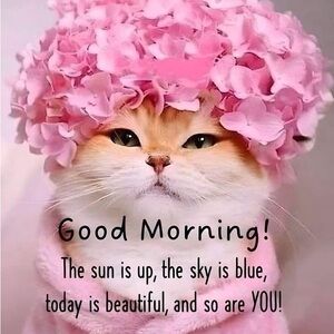 Pink Floral Pet Hat and Cozy Wrap for Cats